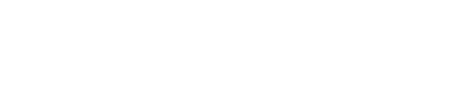 MAVENA AGENCY